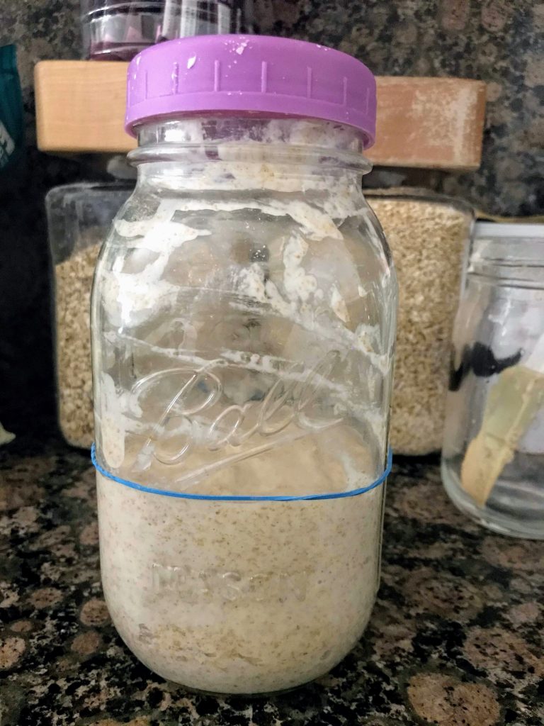 Sourdough starter