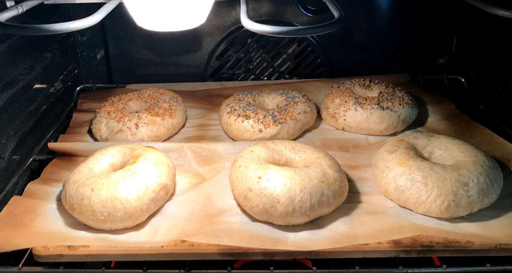 Sourdough bagels in oven