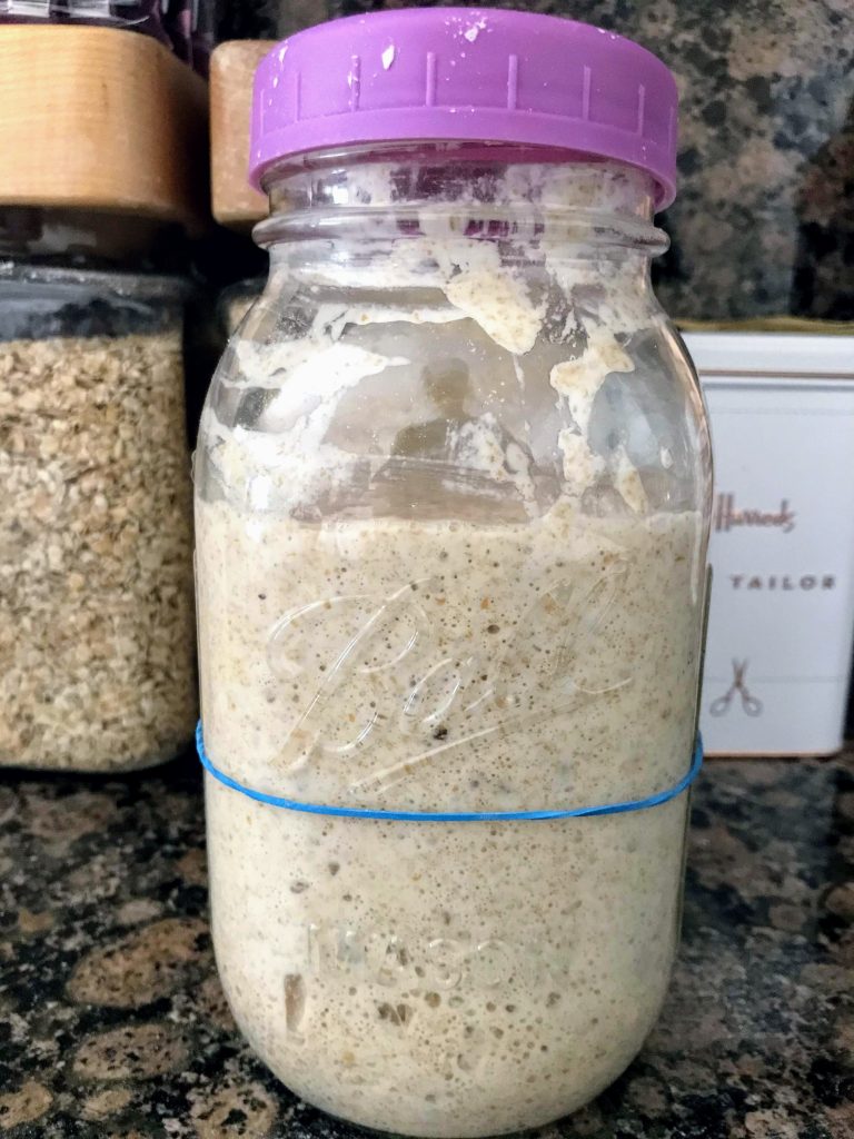 Sourdough starter