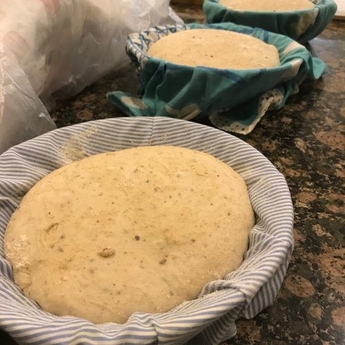 Sourdough after proofing overnight